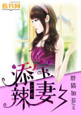 添宝辣妻txt下载