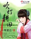 吹灯耕田txt下载