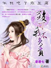 殿下,我不负责
