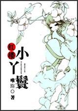 红楼小丫鬟(全本)txt下载