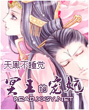 宠奴绝世魅夫人冥王的宠妃txt下载