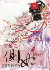 穿越之侧妃txt下载
