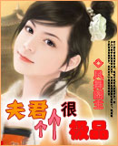 夫君个个是极品txt下载