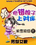 抱错娘子进对房txt下载