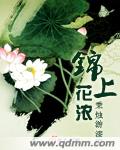 锦上花浓(起点V文)