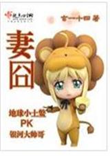 妻囧  完结txt下载