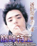 巅峰特工txt下载