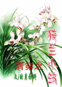 清穿之猗兰小筑(BG皇太极)txt下载